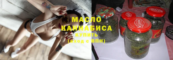 крисы Бронницы