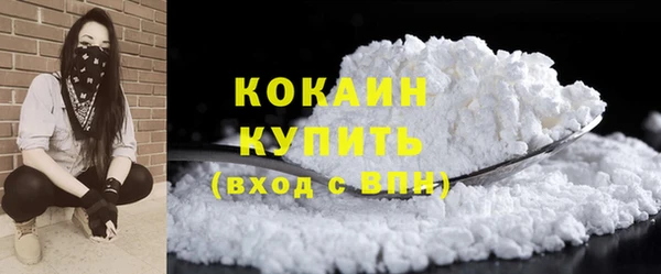 дживик Богородицк