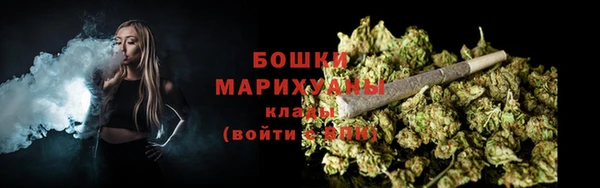 apvp Богородск