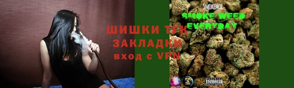 сатива Бородино