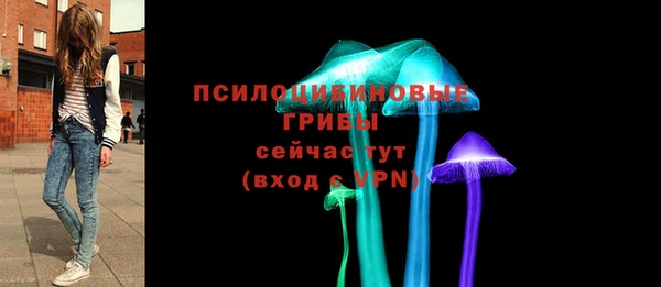 apvp Богородск