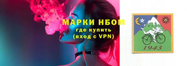 дживик Богородицк