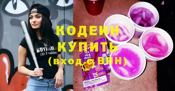 крисы Бронницы