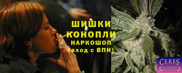 дживик Богородицк