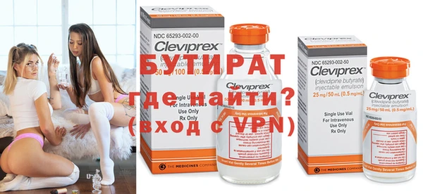 сатива Бородино