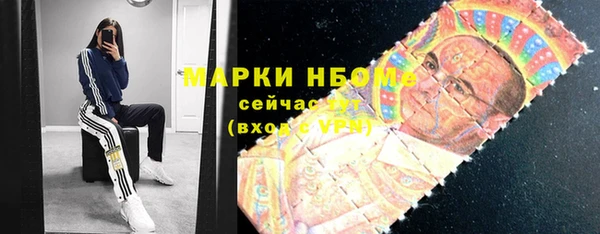 дживик Богородицк