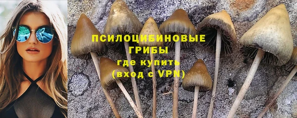 apvp Богородск
