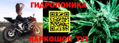 эйфоретик Бийск