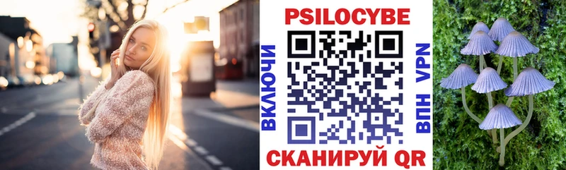 где продают наркотики  Гусев  Псилоцибиновые грибы прущие грибы 