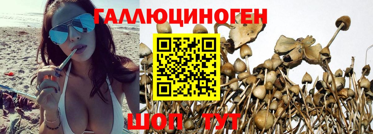 Псилоцибиновые грибы ЛСД Гусев