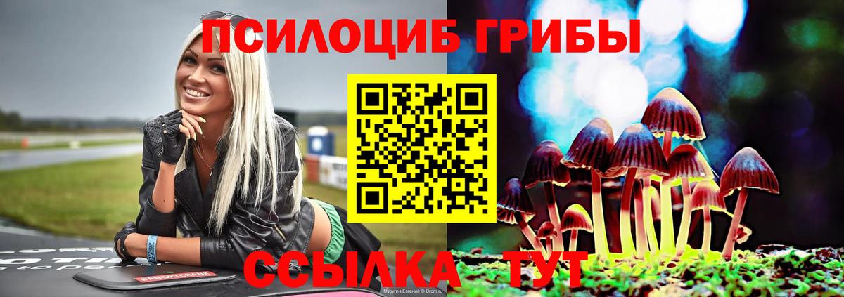 Псилоцибиновые грибы Cubensis  Вход с VPN  Гусев  Галлюциногенные грибы мицелий 
