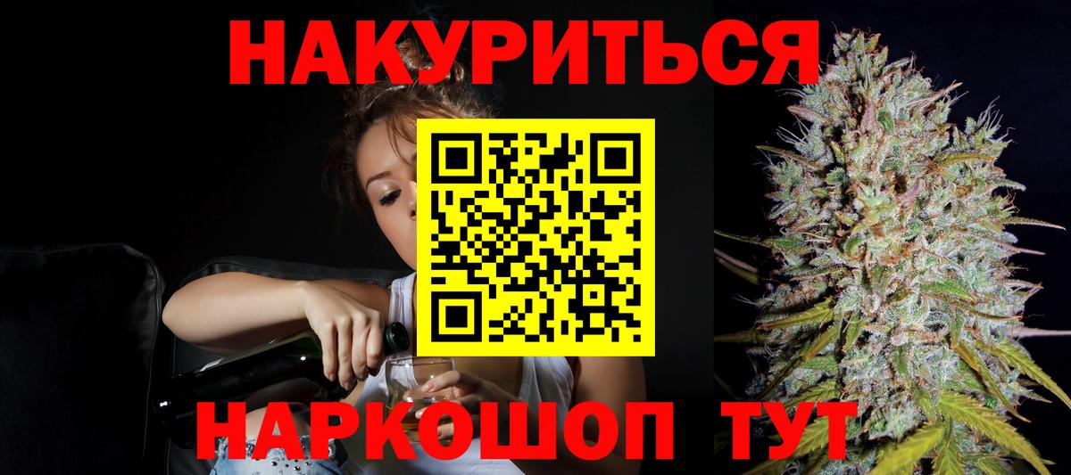 Конопля гибрид Гусев